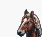 Символ года - Год Лошади